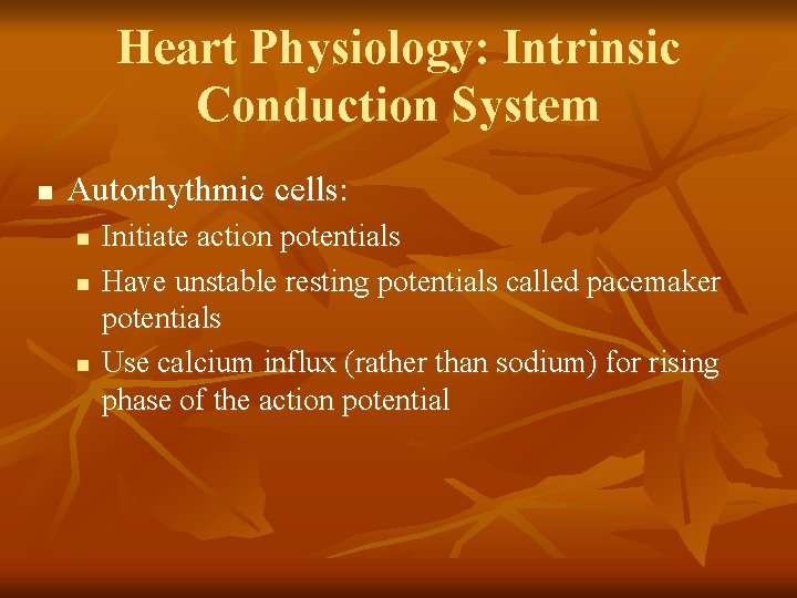 Heart Physiology: Intrinsic Conduction System n Autorhythmic cells: n n n Initiate action potentials