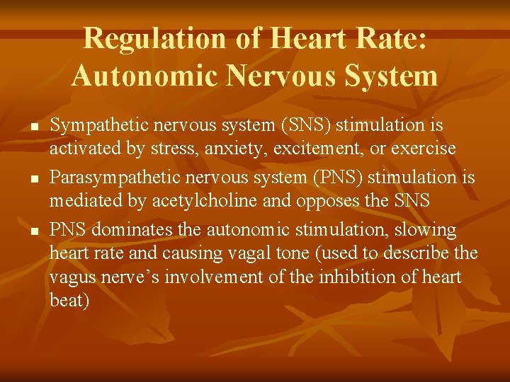 Regulation of Heart Rate: Autonomic Nervous System n n n Sympathetic nervous system (SNS)