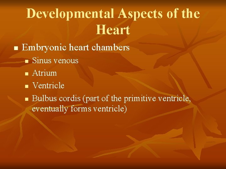 Developmental Aspects of the Heart n Embryonic heart chambers n n Sinus venous Atrium