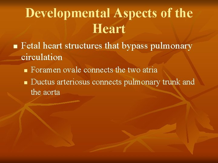 Developmental Aspects of the Heart n Fetal heart structures that bypass pulmonary circulation n
