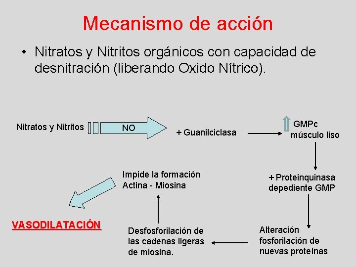 Mecanismo de acción • Nitratos y Nitritos orgánicos con capacidad de desnitración (liberando Oxido