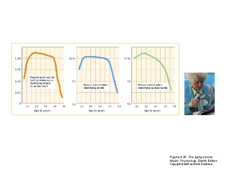 Figure 4. 26 The aging senses Myers: Psychology, Eighth Edition Copyright © 2007 by