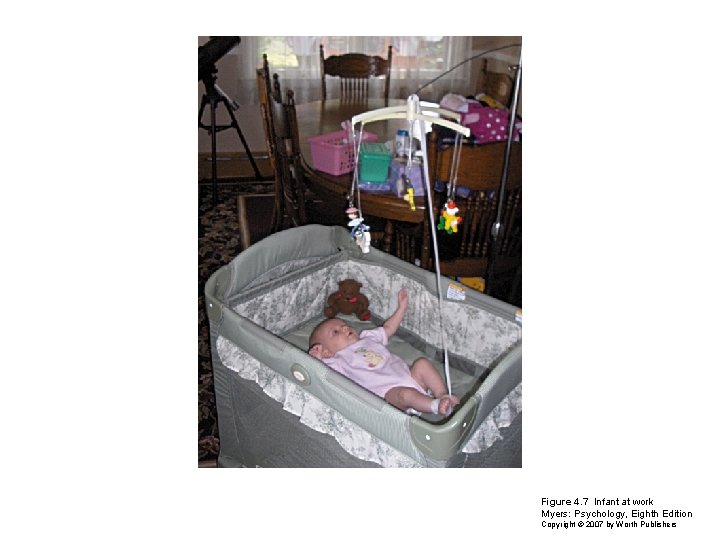 Figure 4. 7 Infant at work Myers: Psychology, Eighth Edition Copyright © 2007 by