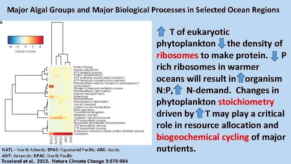 Major Algal Groups and Major Biological Processes in Selected Ocean Regions NATL – North