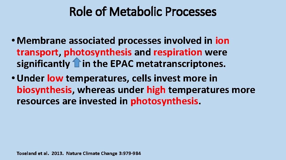 Role of Metabolic Processes • Membrane associated processes involved in ion transport, photosynthesis and
