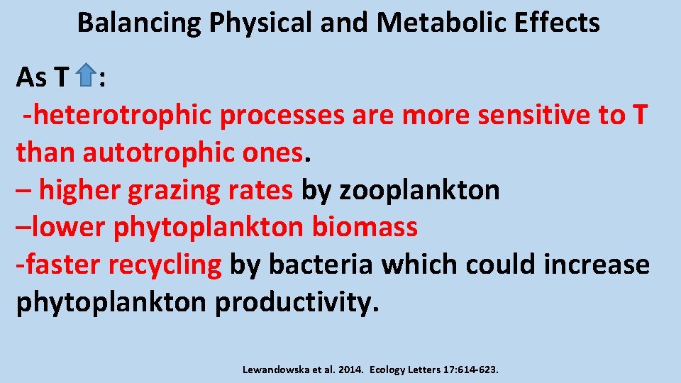 Balancing Physical and Metabolic Effects As T : -heterotrophic processes are more sensitive to