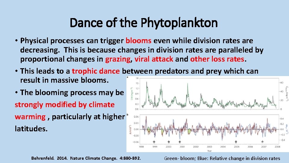 Dance of the Phytoplankton • Physical processes can trigger blooms even while division rates