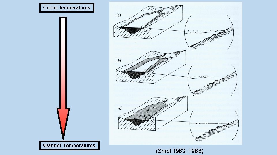 Cooler temperatures Warmer Temperatures (Smol 1983, 1988) 