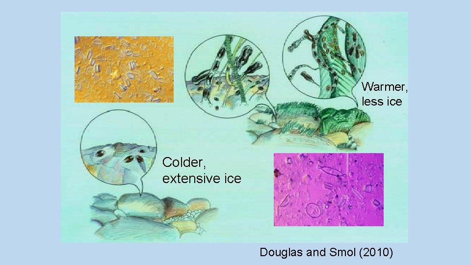 Warmer, less ice Colder, extensive ice Douglas and Smol (2010) 