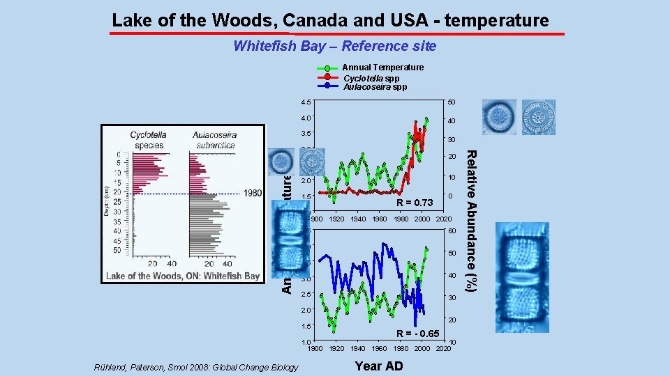 Lake of the Woods, Canada and USA - temperature Whitefish Bay – Reference site