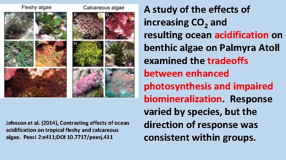 Johnson et al. (2014), Contrasting effects of ocean acidification on tropical fleshy and calcareous