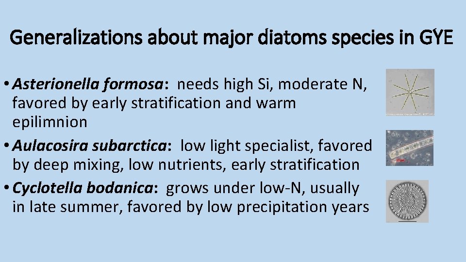 Generalizations about major diatoms species in GYE • Asterionella formosa: needs high Si, moderate