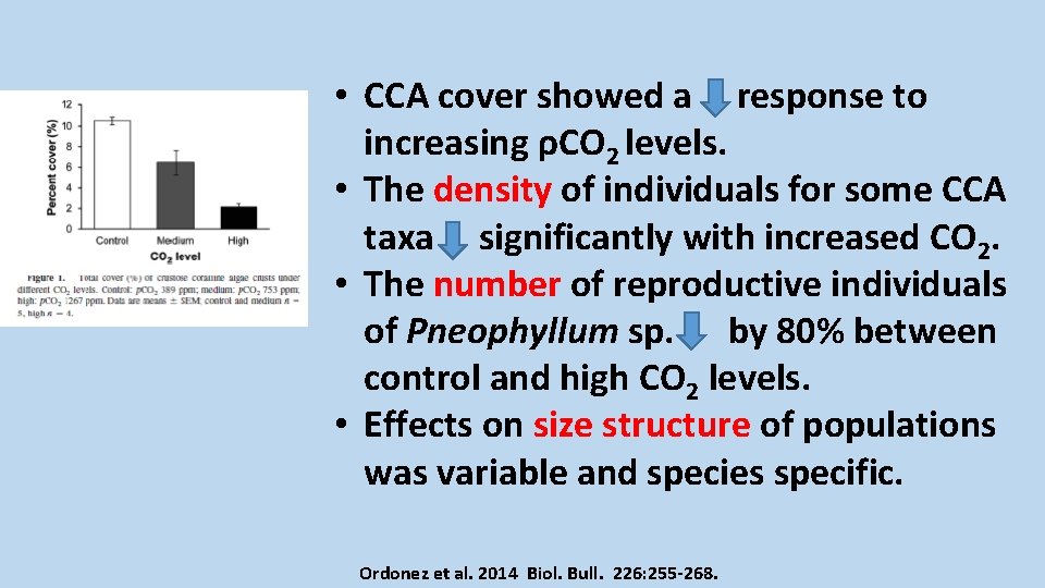  • CCA cover showed a response to increasing ρCO 2 levels. • The