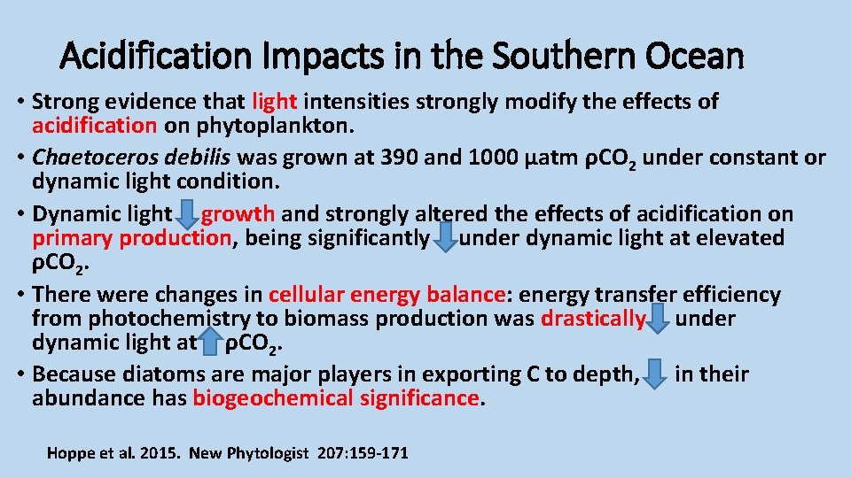 Acidification Impacts in the Southern Ocean • Strong evidence that light intensities strongly modify