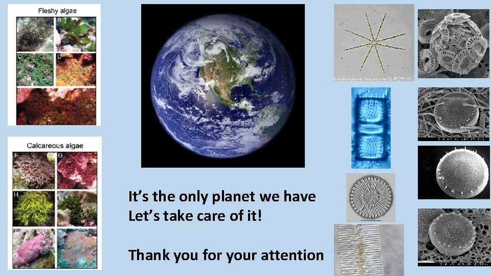 It’s the only planet we have Let’s take care of it! Thank you for