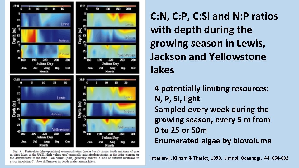 C: N, C: P, C: Si and N: P ratios with depth during the