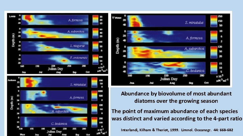 Abundance by biovolume of most abundant diatoms over the growing season The point of