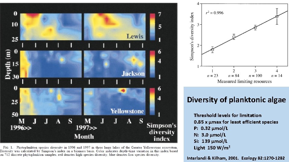 Diversity of planktonic algae Threshold levels for limitation 0. 85 x µmax for least