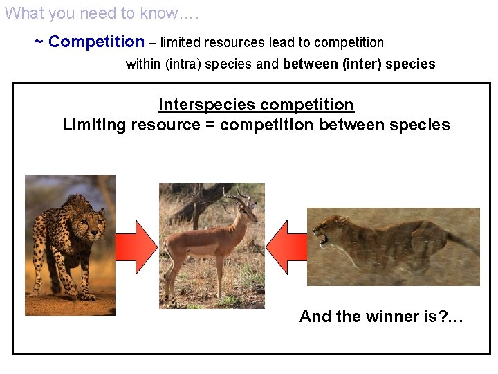 What you need to know…. ~ Competition – limited resources lead to competition within