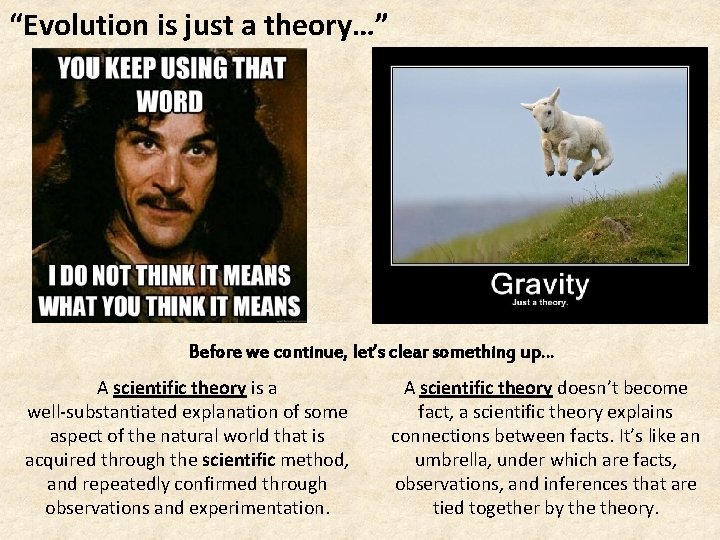 “Evolution is just a theory…” Before we continue, let’s clear something up… A scientific