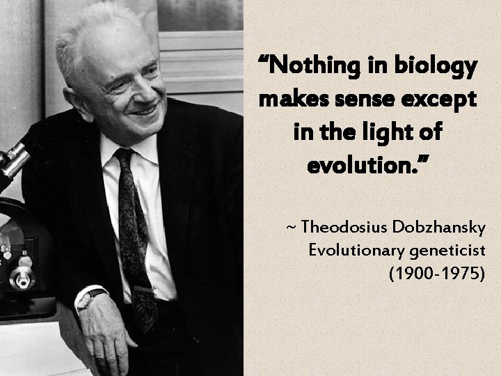 “Nothing in biology makes sense except in the light of evolution. ” ~ Theodosius