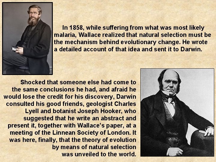 In 1858, while suffering from what was most likely malaria, Wallace realized that natural