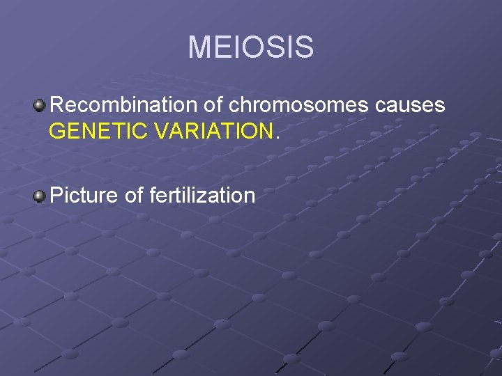 MEIOSIS Recombination of chromosomes causes GENETIC VARIATION. Picture of fertilization 