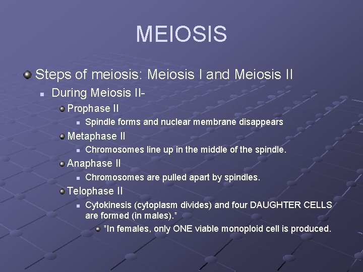 MEIOSIS Steps of meiosis: Meiosis I and Meiosis II n During Meiosis IIProphase II