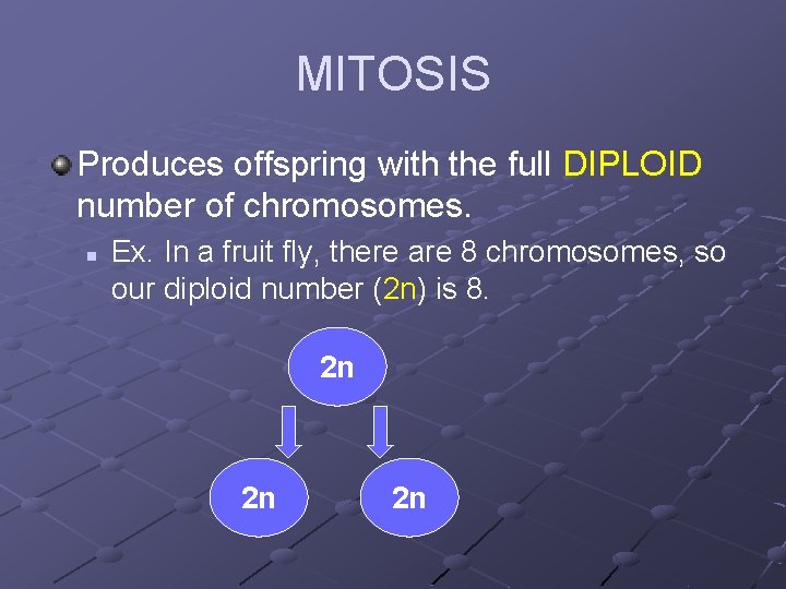 MITOSIS Produces offspring with the full DIPLOID number of chromosomes. n Ex. In a
