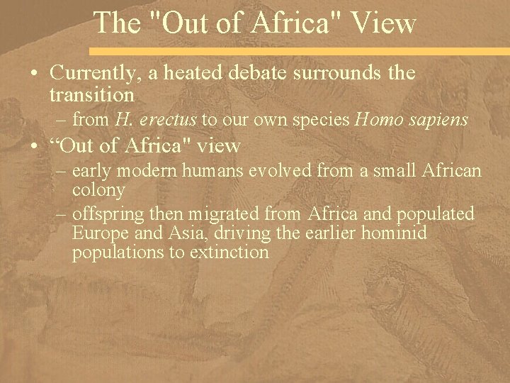 The "Out of Africa" View • Currently, a heated debate surrounds the transition –