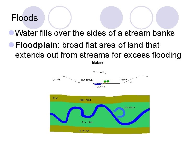 Floods l Water fills over the sides of a stream banks l Floodplain: broad