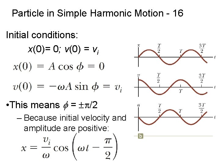 Particle in Simple Harmonic Motion - 16 Initial conditions: x(0)= 0; v(0) = vi