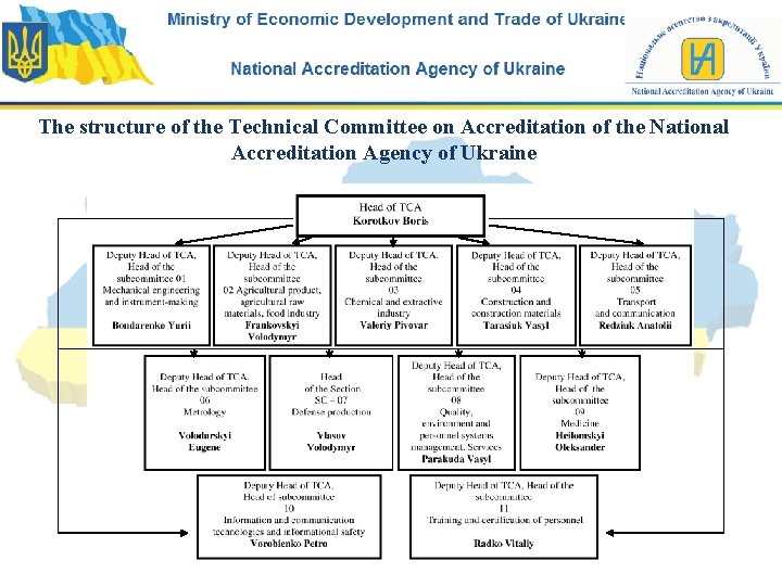The structure of the Technical Committee on Accreditation of the National Accreditation Agency of