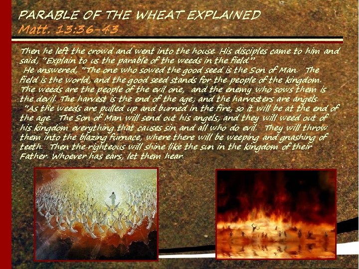 PARABLE OF THE WHEAT EXPLAINED Matt. 13: 36 -43 Then he left the crowd