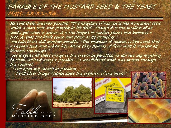 PARABLE OF THE MUSTARD SEED & THE YEAST Matt. 13: 31 -36 He told