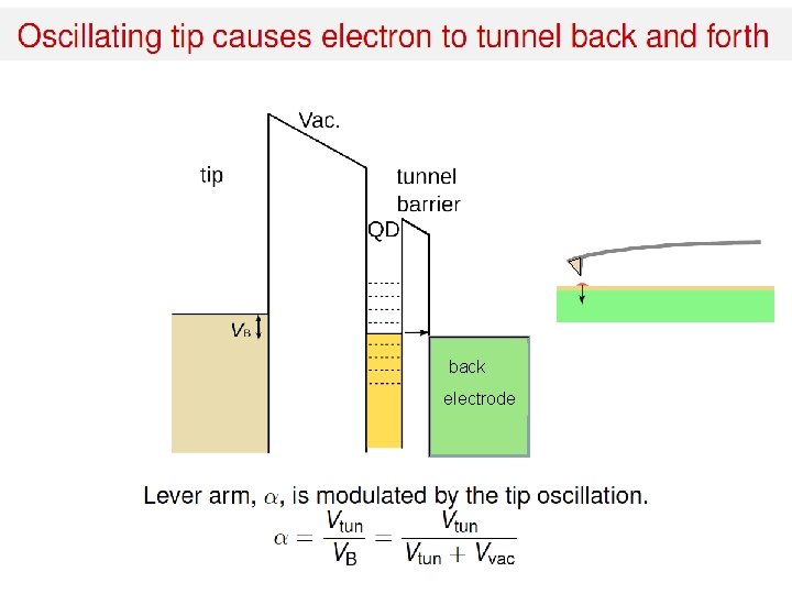 back electrode 