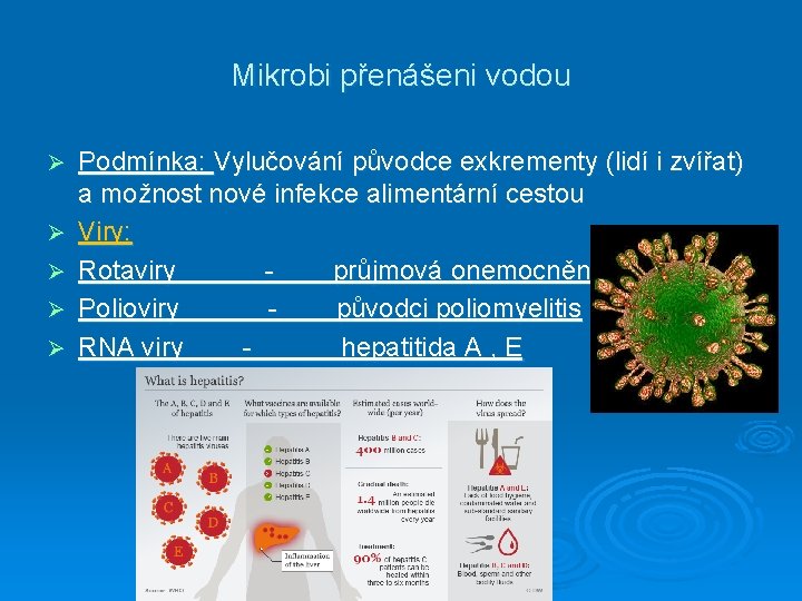 Mikrobi přenášeni vodou Ø Ø Ø Podmínka: Vylučování původce exkrementy (lidí i zvířat) a