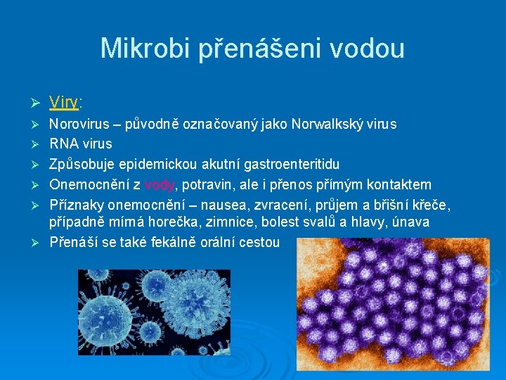 Mikrobi přenášeni vodou Ø Viry: Ø Norovirus – původně označovaný jako Norwalkský virus RNA