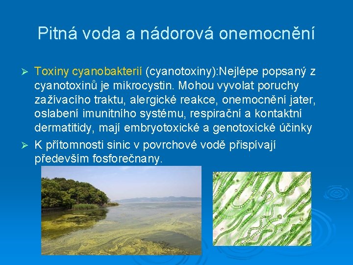 Pitná voda a nádorová onemocnění Toxiny cyanobakterií (cyanotoxiny): Nejlépe popsaný z cyanotoxinů je mikrocystin.