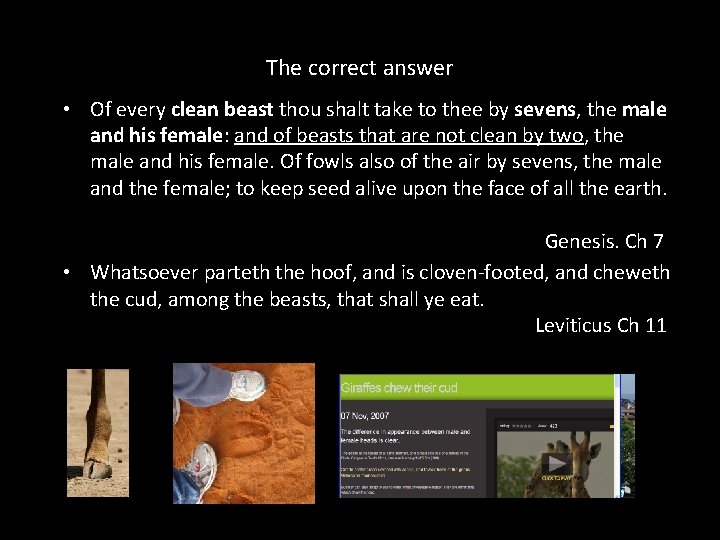 The correct answer • Of every clean beast thou shalt take to thee by