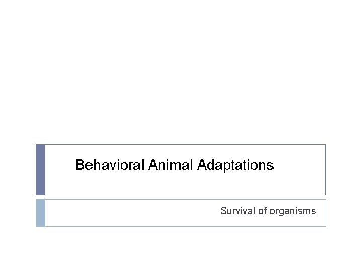 Behavioral Animal Adaptations Survival of organisms 