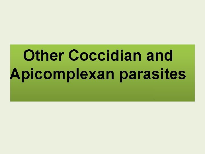 Other Coccidian and Apicomplexan parasites 