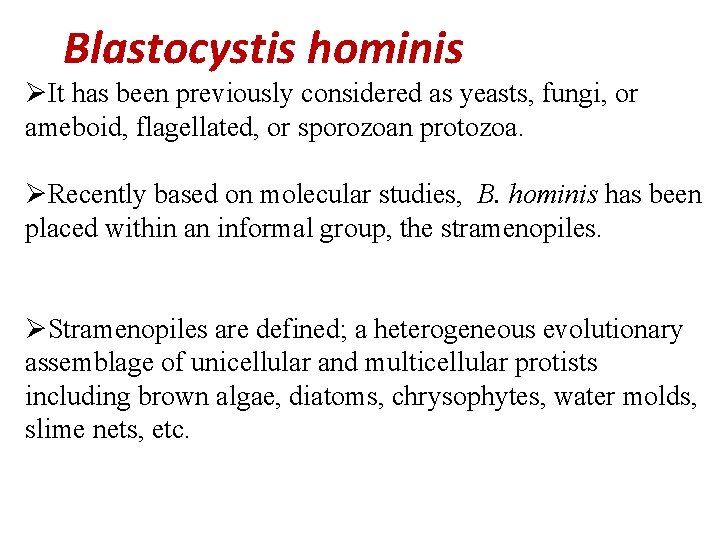 Blastocystis hominis ØIt has been previously considered as yeasts, fungi, or ameboid, flagellated, or