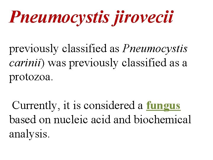 Pneumocystis jirovecii previously classified as Pneumocystis carinii) was previously classified as a protozoa. Currently,
