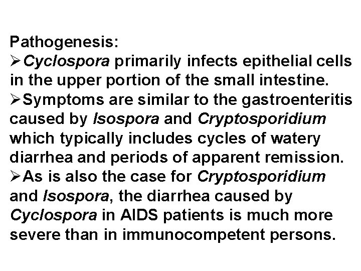 Pathogenesis: ØCyclospora primarily infects epithelial cells in the upper portion of the small intestine.