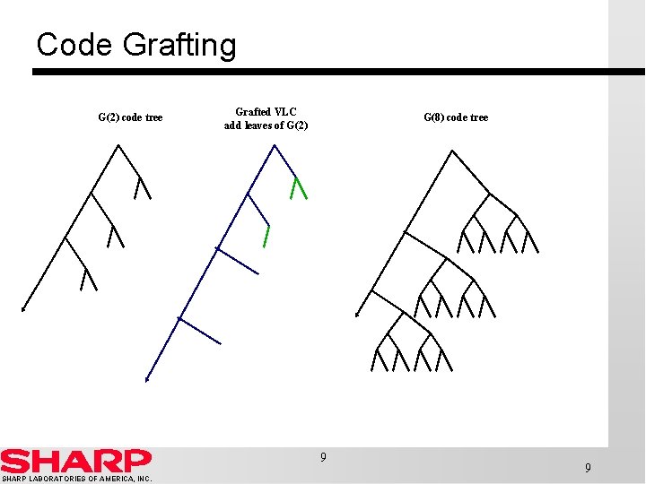 Code Grafting G(2) code tree Grafted VLC add leaves of G(2) G(8) code tree