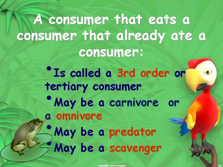 A consumer that eats a consumer that already ate a consumer: • Is called