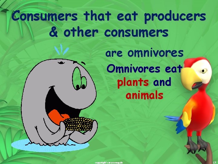 Consumers that eat producers & other consumers are omnivores Omnivores eat plants and animals