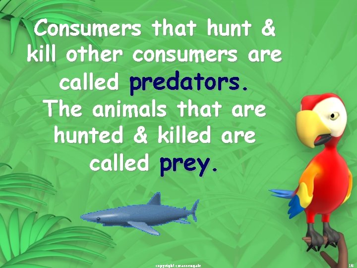 Consumers that hunt & kill other consumers are called predators. The animals that are