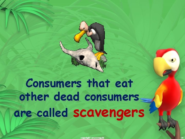 Consumers that eat other dead consumers are called scavengers copyright cmassengale 19 